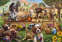 Puzzle 200 pièces - Chiens et Chats - Schmidt Spiele
