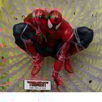 Marvel Collection -Statuette PVC 1/6 Spider-Man (Spider-Man N°1) 28 cm