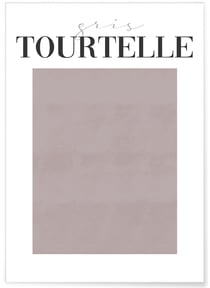 Affiche Gris Tourtelle | A3 : 29,7x42cm