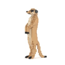 Suricate Taille standard | JEKCA | 14 ans et +