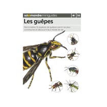 Miniguide 98 - Les guêpes