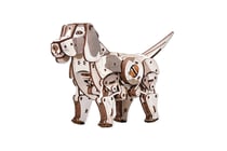 CHIOT