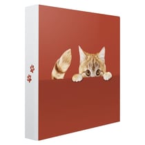 Album Photo Pochette cache-cache chat 200 Photos 10x15 cm