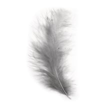 Plume duvetée, gris, 10 - 15 cm, 15 pces