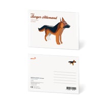 CARTE POSTALE BERGER ALLEMAND