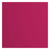 Papier cartonné Florence - Lisse - 20 feuilles - Noir mûre - 30,5 x 30,5 cm - 216 g/m²