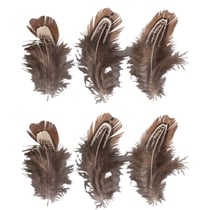 Plumes, brun, 5 - 10cm, 6 pces