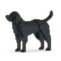 Chien Labrador Retriever noir Taille standard | JEKCA | 14 ans et +