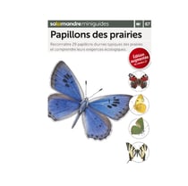 Miniguide 67 - Papillons des prairies