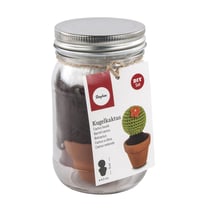 Kit: Cactus boule, 4,5cm 9cm, verre 1pce.