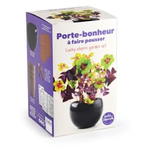 Kit trèfle porte bonheur