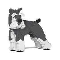 Chien Schnauzer Moyen qui tourne la tête gris et blanc Taille standard | JEKCA | 14 ans et +
