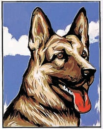 Kit canevas Berger Allemand 20x25cm