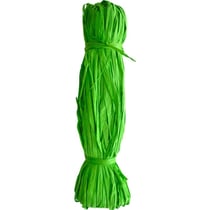 Graine Créative - Raphia végétal vert printemps en bobine 50 g