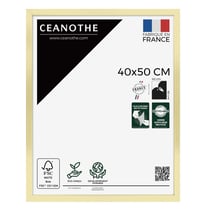 Cadre photo Precious doré 40x50 cm