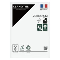 Cadre photo Essentiel exposition blanc 70x100 cm
