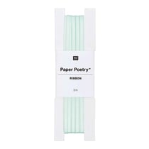 Ruban de satin menthe 3 m