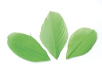 SACHET 3 Gr PLUMES COUPEES VERT CLAIR Ht.60