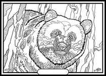 Tableau velours a colorier OURS GREGORY Sericolor