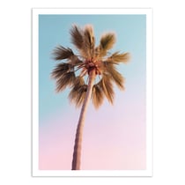 Affiche 50x70 cm - Hollywood Palm - Philippe Hugonnard