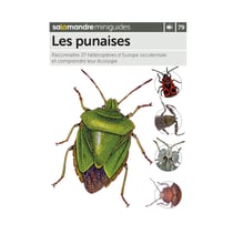 Miniguide 79 - Les punaises