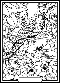 Tableau velours a colorier Perroquet Sericolor