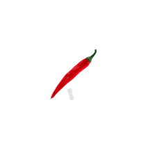 Stylo encre noire - Vegetable - Pylones