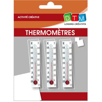 Graine Créative - Thermomètres décoratif mini mini 3 pièces