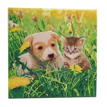 CRYSTAL ART Kit tableau broderie diamant 30x30cm Chat et chien pré