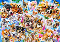 Puzzle 1000 pièces - Selfie Pet Collage - Bluebird Puzzle