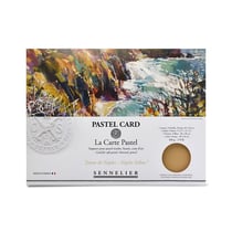 La Carte Pastel Jaune De Naples - 6Feuilles - 40X30Cm - Sennelier