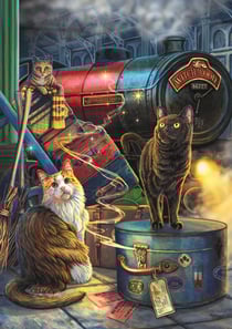 Puzzle 1000 pièces - Collection Magique : Bois De Sorceau Express - Trefl