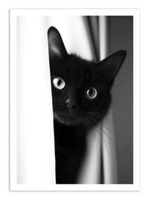 Affiche 50 x 70 cm -  Cat's look - Philippe Hugonnard