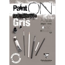 Bloc Paint On Gris Encolle - A3 - 30 Feuilles - Clairefontaine