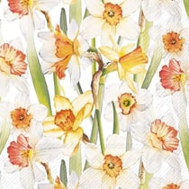 Lot de 4 serviettes en papier découpage collage 33 cm FLEUR JONQUILLE F 507