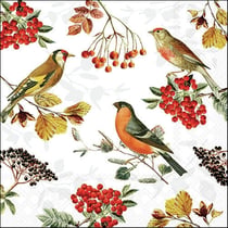 Lot de 4 serviettes en papier découpage collage 33 cm OISEAU AUTOMNE O 101