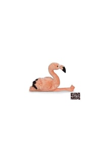 Peluche flamant rose