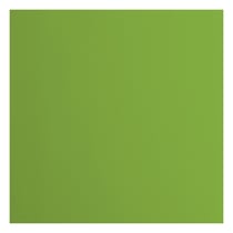 Papier cartonné Florence - 20 feuilles - Frog - 30,5 x 30,5 cm - 216 g/m²