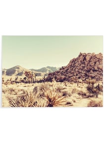 Poster Nature Desert 6 | A3 : 29,7x42cm