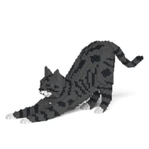 Chat Tigré gris foncé qui s'étire | JEKCA | 14 ans et +