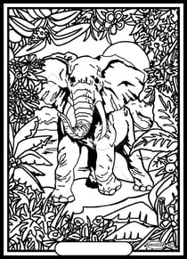 Tableau velours a colorier Papillon fleurs