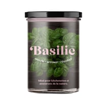 Resetea - Potager de basilic pour la cuisine