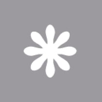 Perforatrice : Pâquerette, 1,6cmø, (5 / 8"), 1pièce
