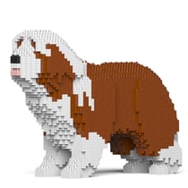 Chien Bearded Collie marron Taille standard | JEKCA | 14 ans et +