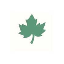 Perforatrice feuille 1.6 cm - Artemio