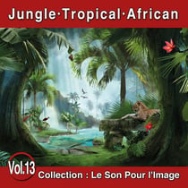 Le Son Pour l'Image Vol. 13 : Jungle - Tropical - African - CD