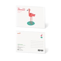 CARTE POSTALE FUSCIA FLAMINGO