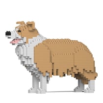 Chien Border Collie beige Taille standard | JEKCA | 14 ans et +