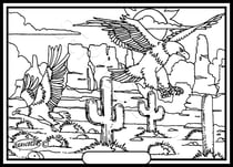 Tableau velours a colorier 2 aigles Sericolor