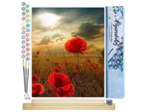 Peinture par Numéro Figured'Art - Fleurs sous le Soleil - Kit de Loisir Créatif DIY Numéro d'Art Complet - 40x50cm toile roulée + châssis en bois à monter